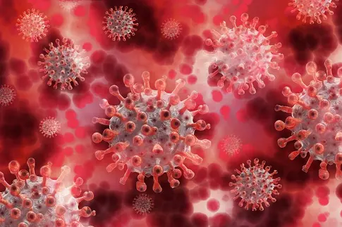 Die Viren sehen aus wie Kugeln mit vielen kleinen Stacheln, die an Kronen erinnern (daher der Name Corona-Virus).