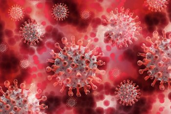 Foto mit einer digital erstellten Darstellung von Coronaviren. Charakteristisch für die Coronaviren sind Spikes auf der Oberfläche, die den Erregern die namensgebende Krone verleihen.