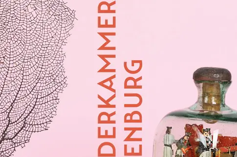 Fotos von vier Sammlungsobjekten aus dem Museum Naturalienkabinett Waldenburg sind vor rosa-farbenem Hintergrund angeordnet, mittig steht in senkrecht angeordneten roten Versalien der Titel "Wunderkammer Waldenburg".