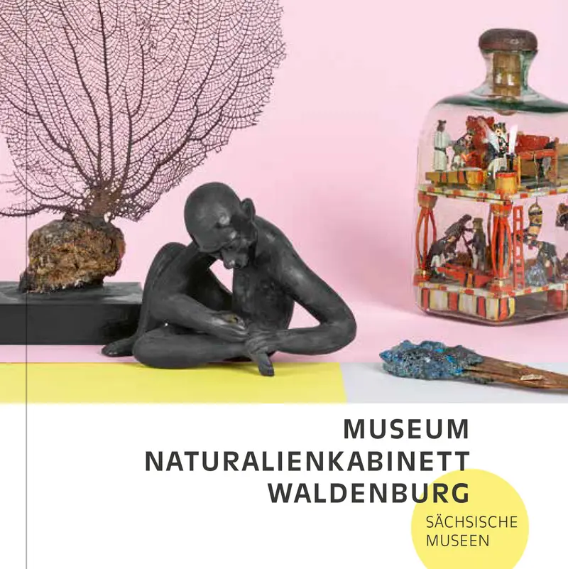 Auf einem quadratischen Buchcover sind vier Objekte einer historischen naturkundlichen Sammlung abgebildet, darunter stehen Buch- und Reihentitel.