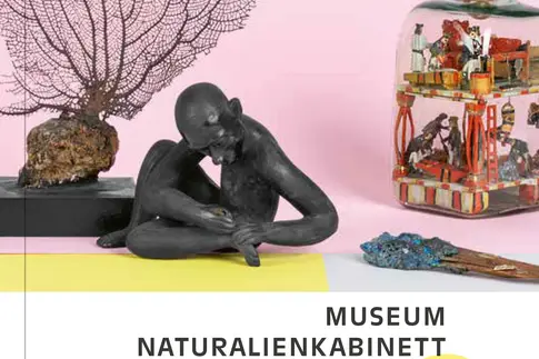 Auf einem quadratischen Buchcover sind vier Objekte einer historischen naturkundlichen Sammlung abgebildet, darunter stehen Buch- und Reihentitel.